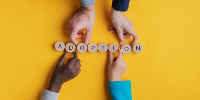 adoption small