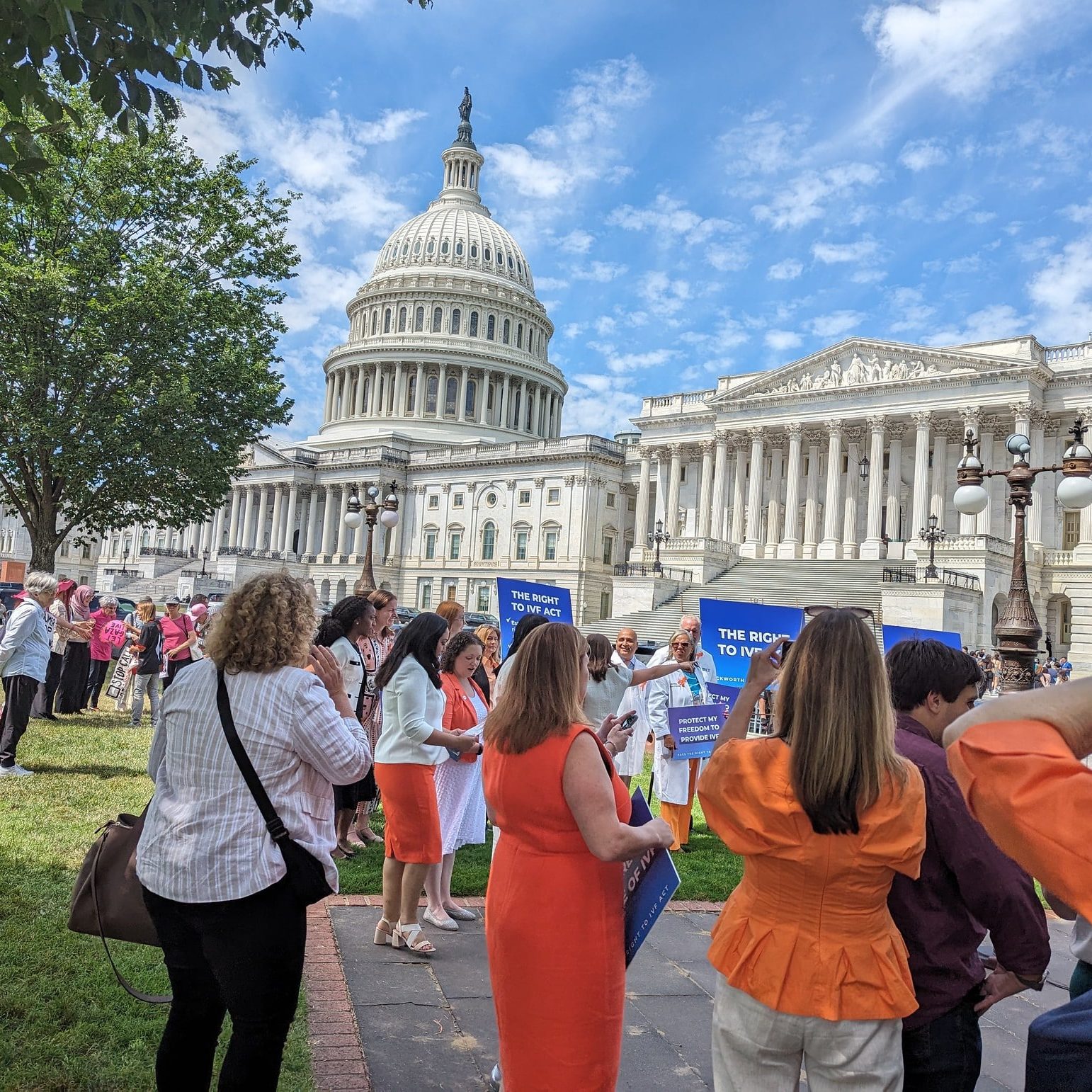 53787593859 A5cbf1b2bf K