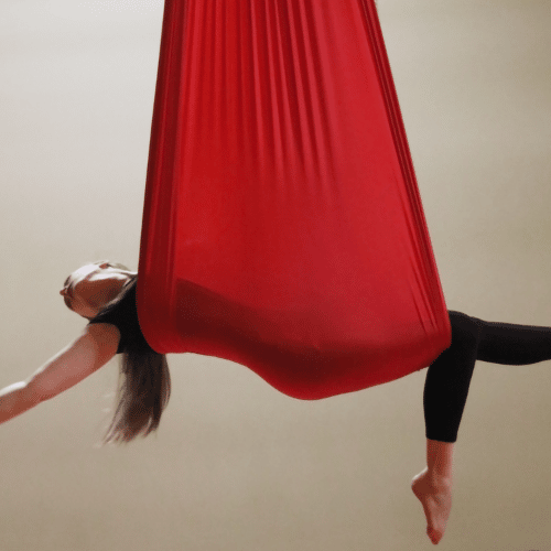 Brandi L 500x500 Brandi L. as aerialist