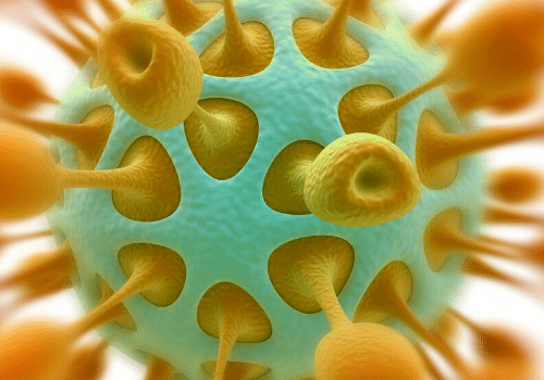 Clovid 19