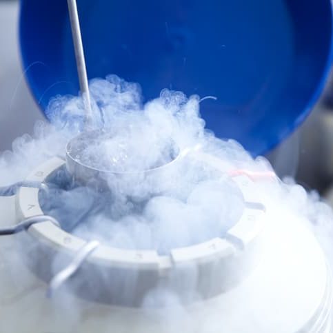 Egg Storage For IVF Egg storage for in vitro fertilisation (IVF). Tube of eggs in cryogenic (frozen) storage.