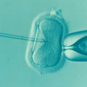 IVF Image Blog Green IVF image